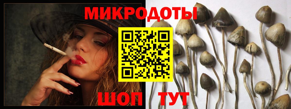 Псилоцибиновые грибы мухоморы Хабаровск
